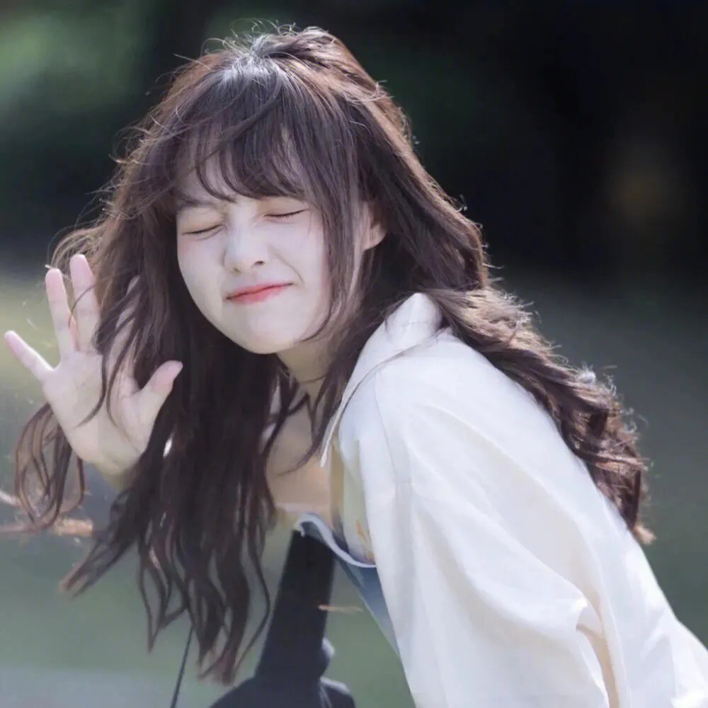 真情不诋樱花落